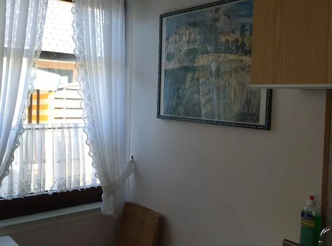 Austernfischer Fewo I Borkum